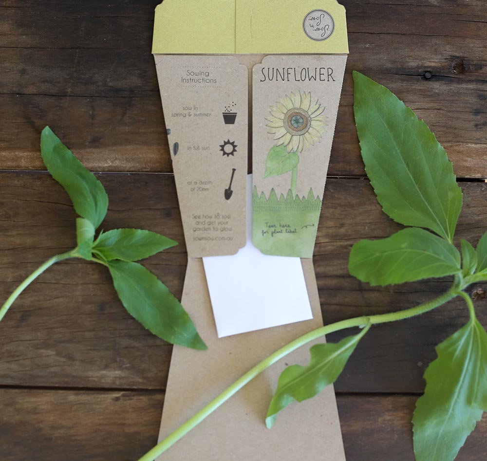 Sunflower Gift of Seeds