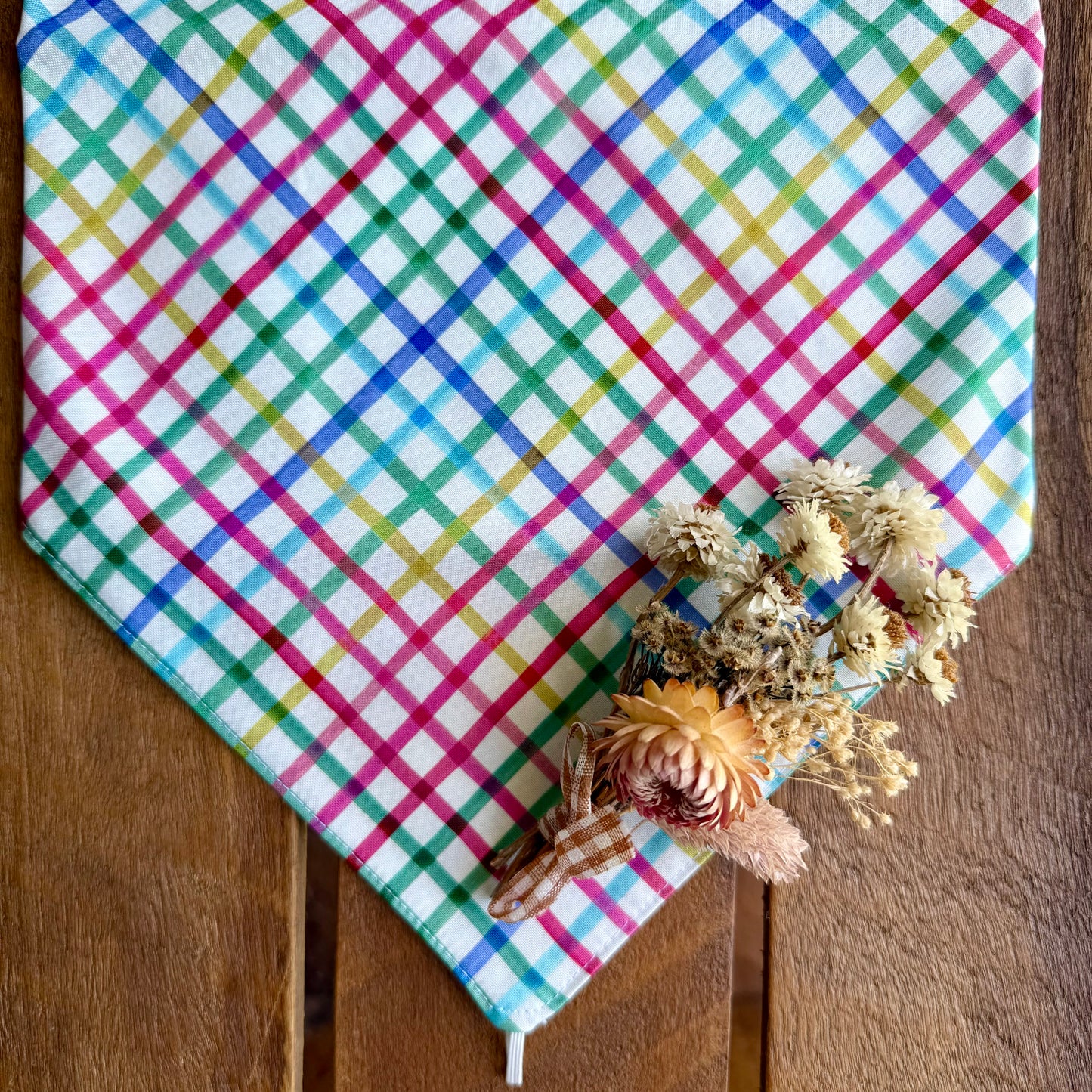 Rainbow Picnic Neck Scarf