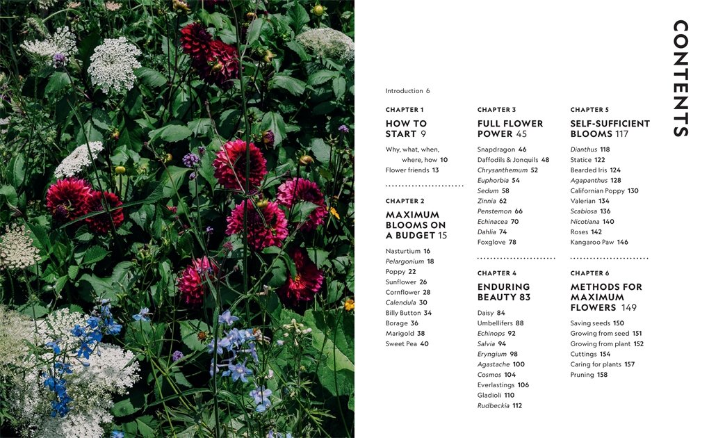 The Super Bloom Handbook