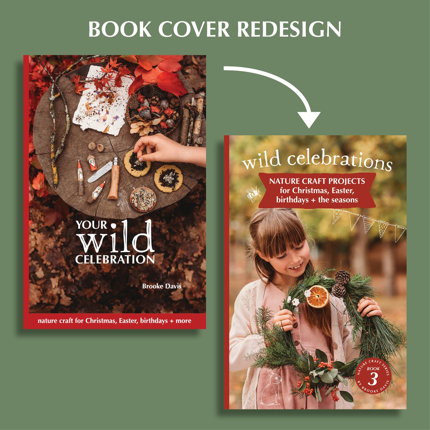 Wild Celebrations Book