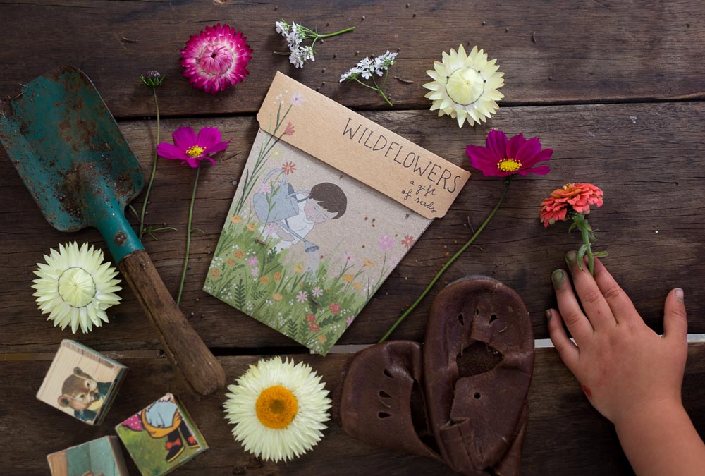 Wildflowers Gift of Seeds