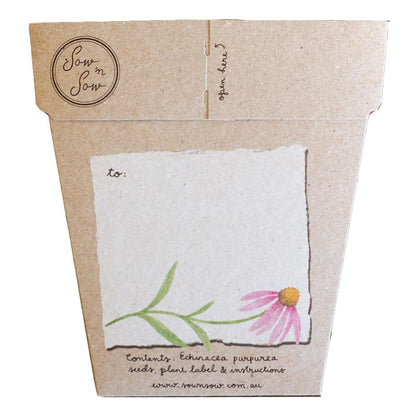 Echinacea Gift of Seeds