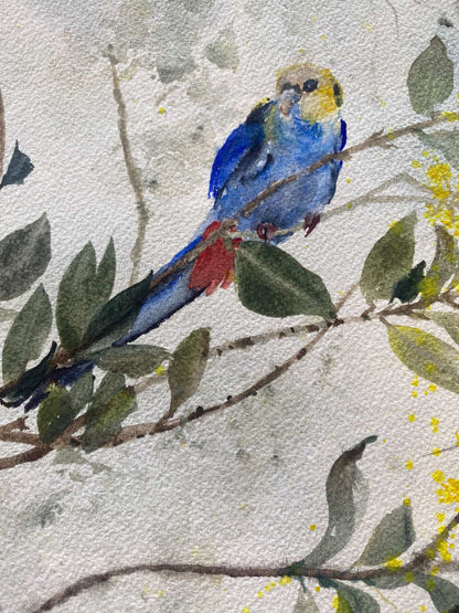 Flash of Colour by Susan Wellingham