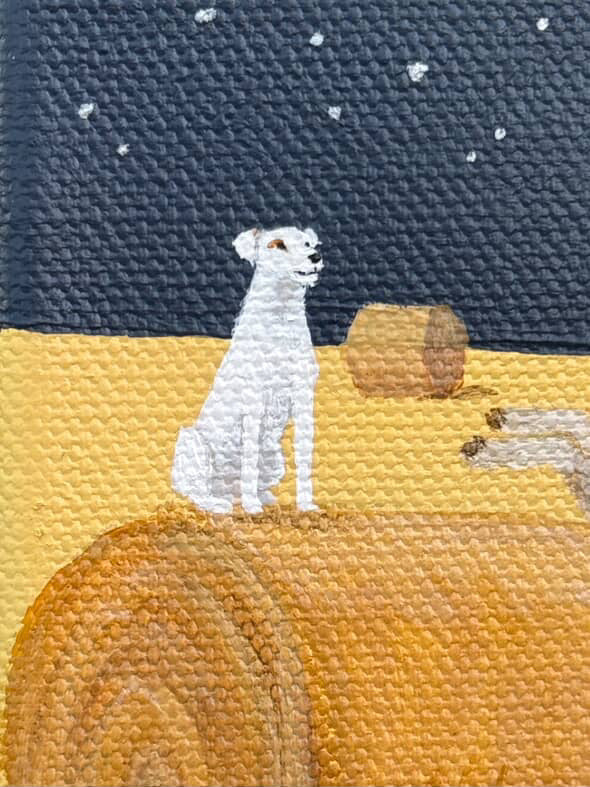 Sheepish Bales by Megan Drennan