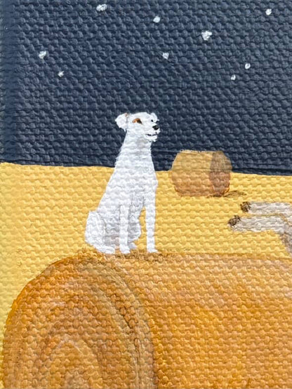 Sheepish Bales by Megan Drennan