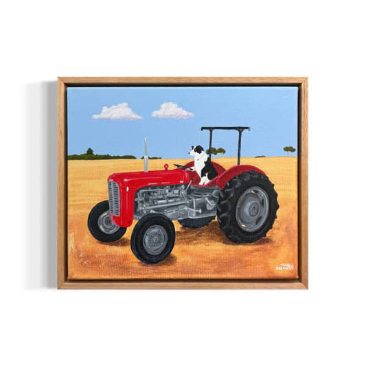 A Collie and his Tractor by Megan Drennan