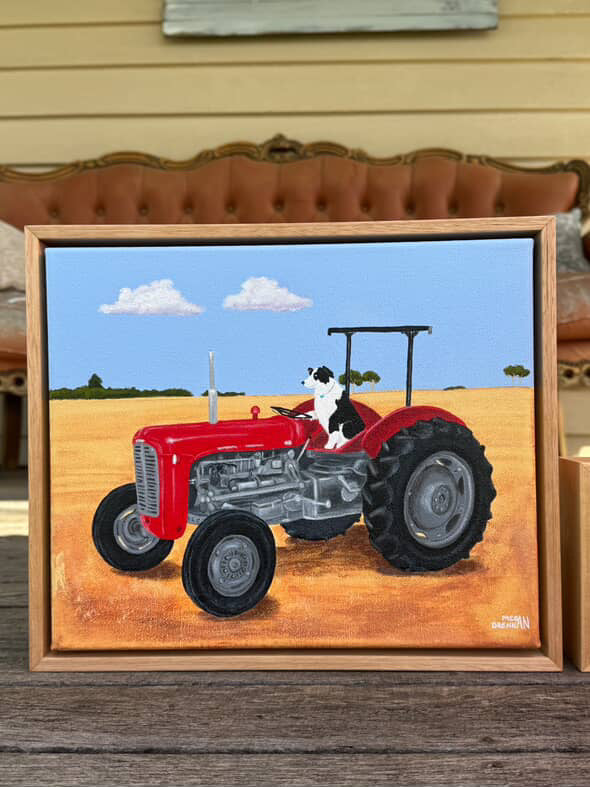A Collie and his Tractor by Megan Drennan