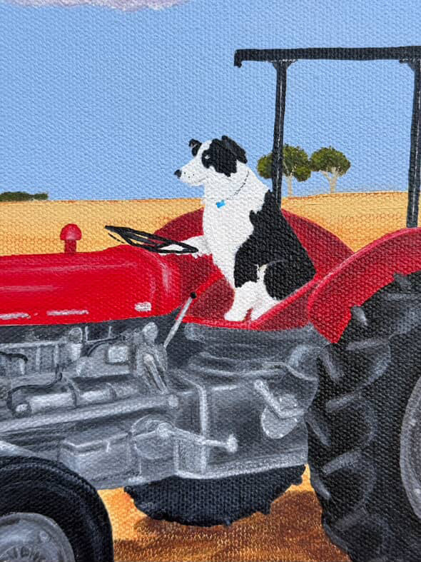 A Collie and his Tractor by Megan Drennan
