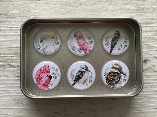 Australian Bird Magnet Tin