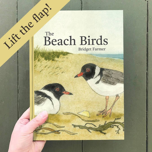 The Beach Birds