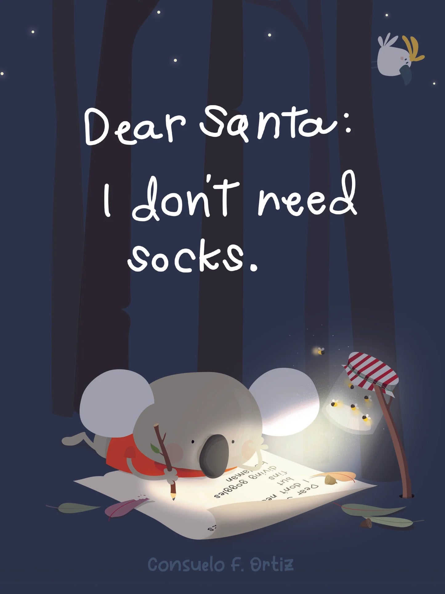 Dear Santa: I don't need socks
