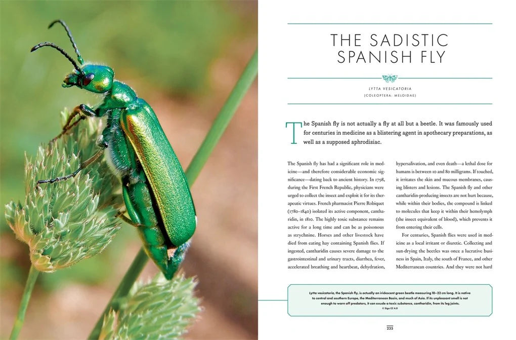 The Wonder Cabinet of Fabulous Insects