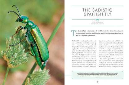 The Wonder Cabinet of Fabulous Insects