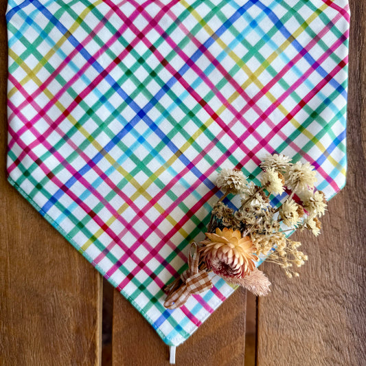 Rainbow Picnic Neck Scarf