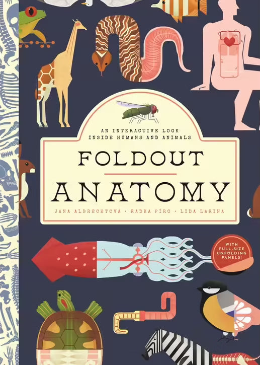 Foldout Anatomy: An Interactive Look Inside Humans and Animals