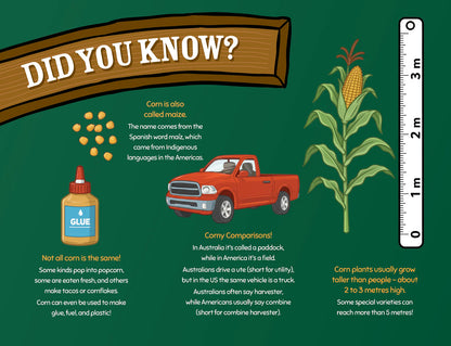 George the Farmer Kangaroo Cornfield