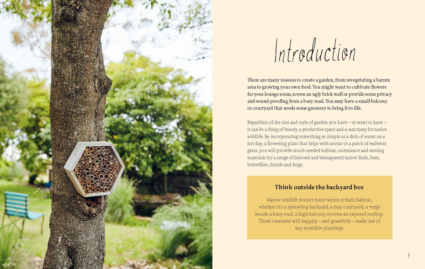 Planting for Native Birds, Bees and Butterflies