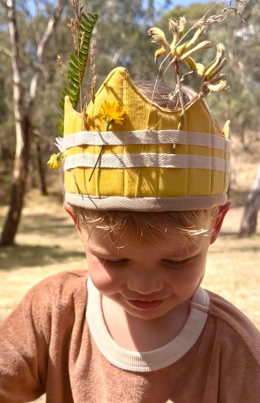 The Adventure Crown
