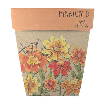 Marigold Gift of Seeds