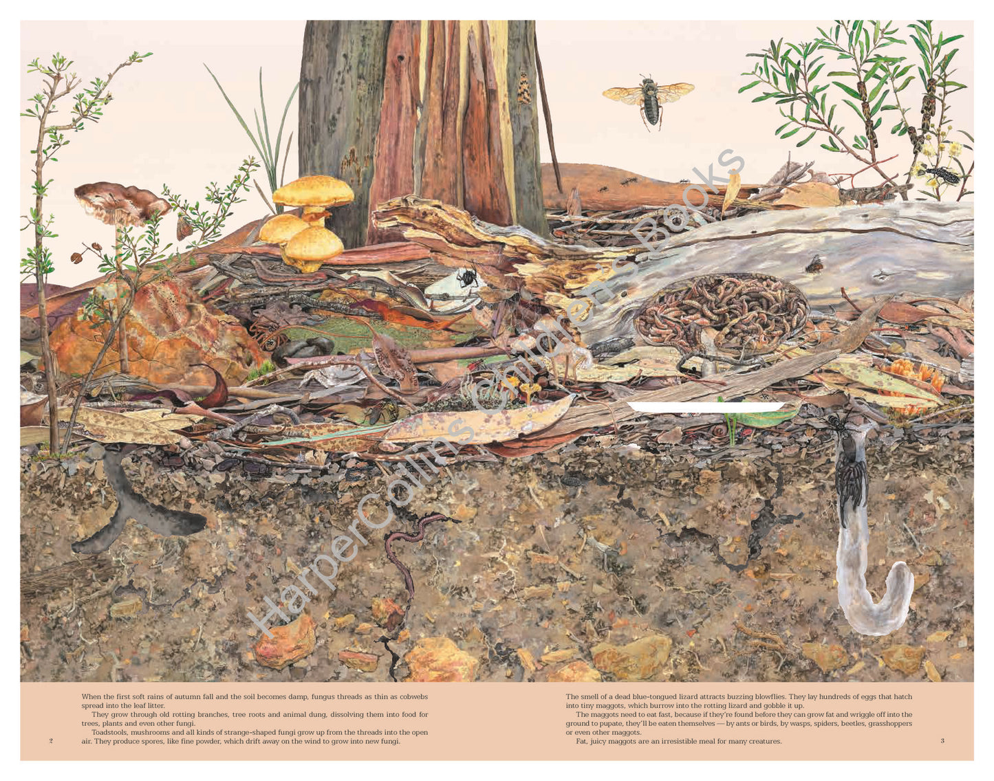 Leaf Litter: 20th Anniversary Edition