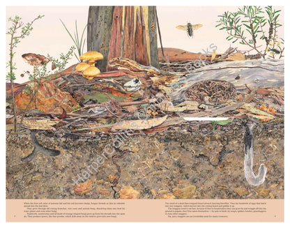 Leaf Litter: 20th Anniversary Edition