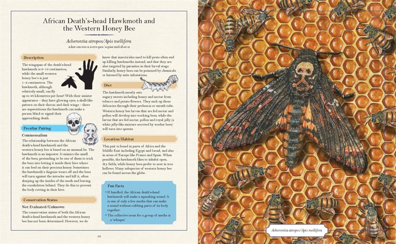 The Illustrated Encyclopaedia of Peculiar Pairs