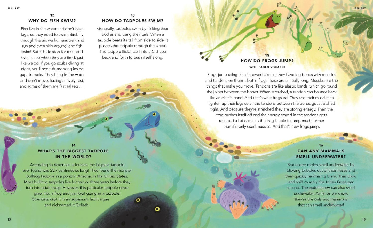 Everything Under the Sun: All Around the World