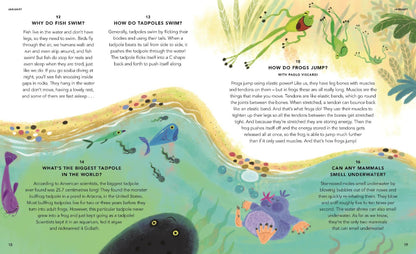 Everything Under the Sun: All Around the World