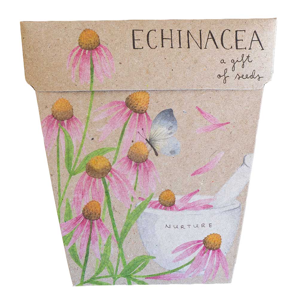 Echinacea Gift of Seeds