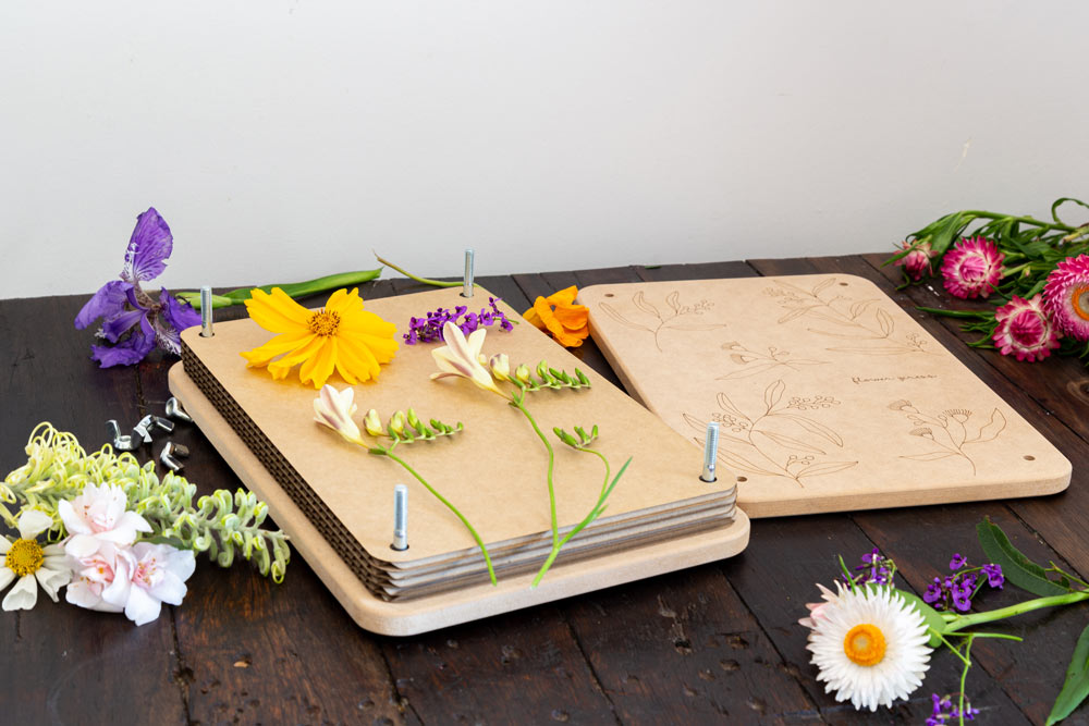 Giant Gumnut Flower Press